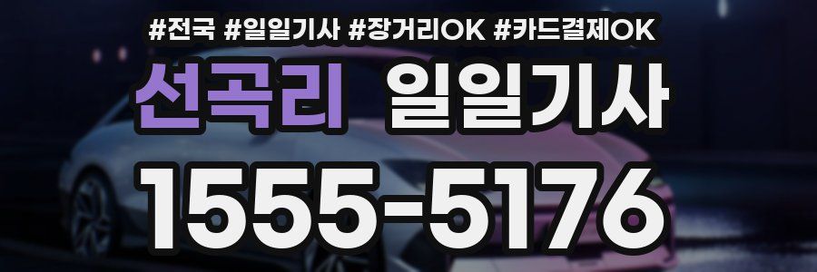 선곡리 일일기사