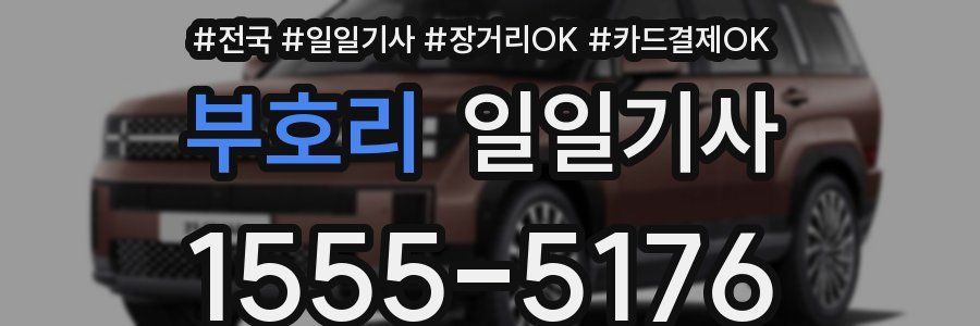 부호리 일일기사