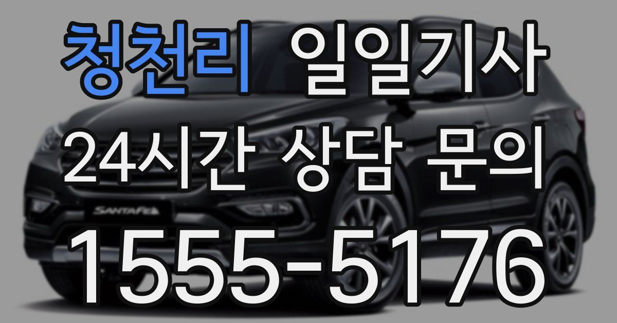 일일대리기사