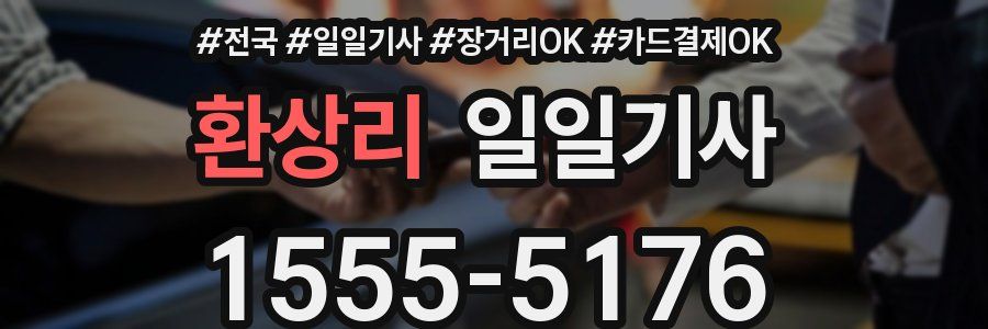 환상리 일일기사