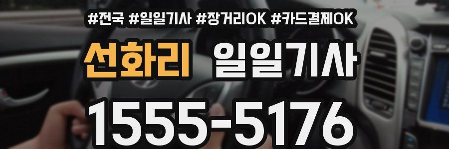 선화리 일일기사