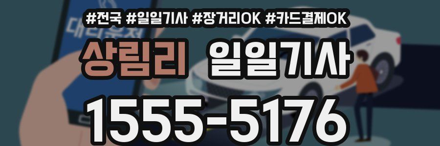 상림리 일일기사