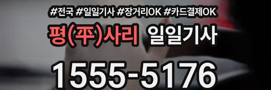 평(平)사리 일일기사