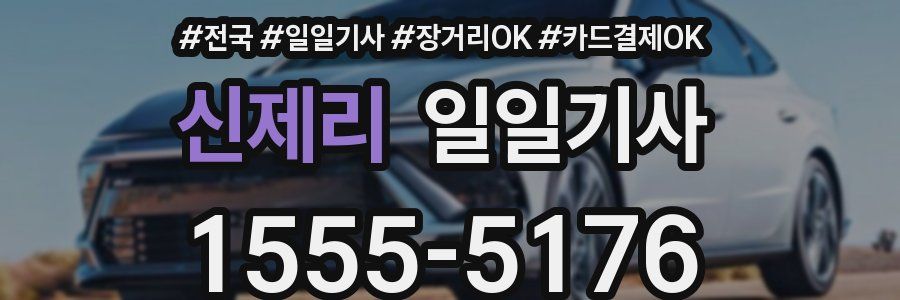 신제리 일일기사