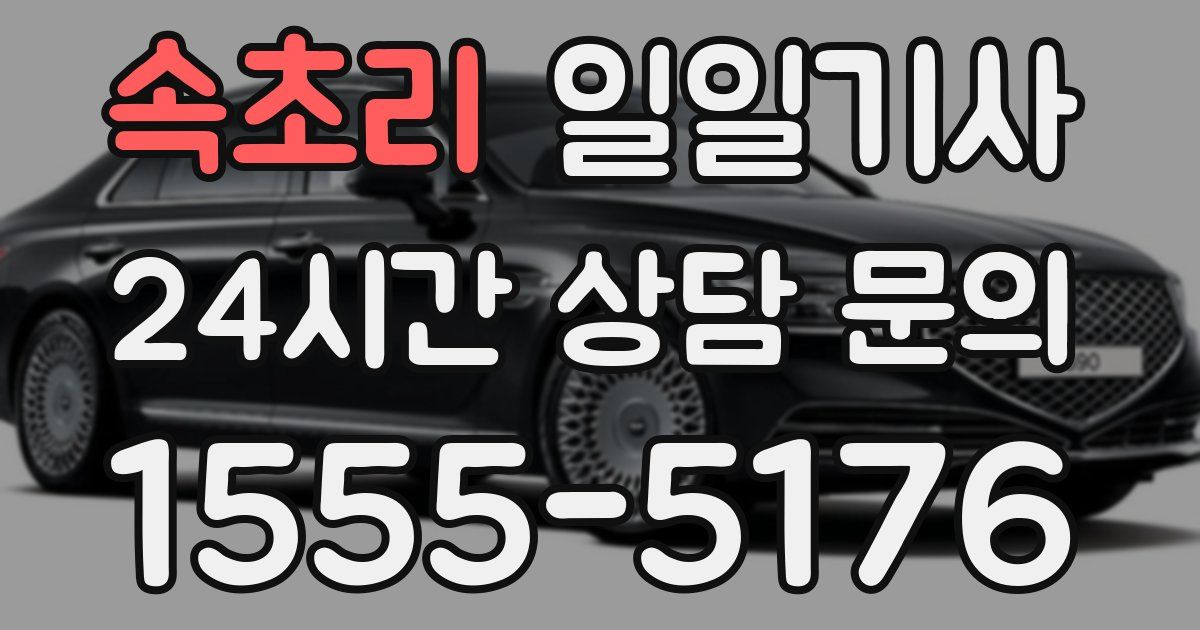 일일대리기사