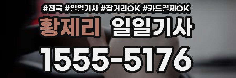 황제리 일일기사