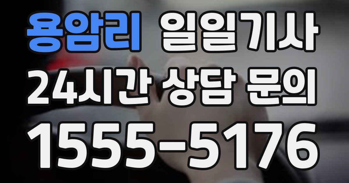 일일대리기사