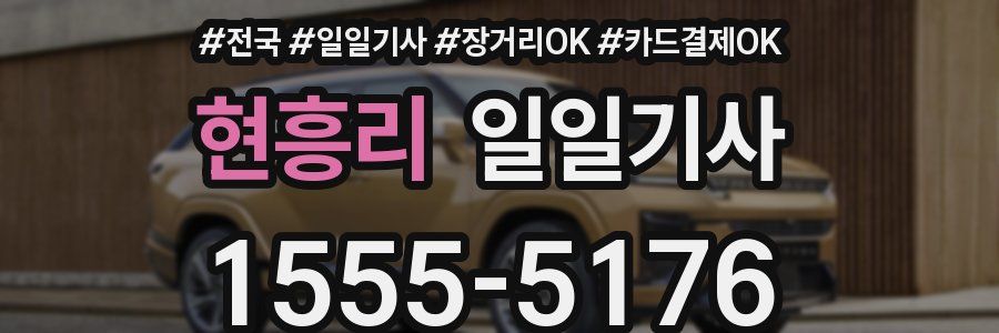 현흥리 일일기사