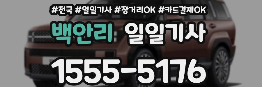 백안리 일일기사