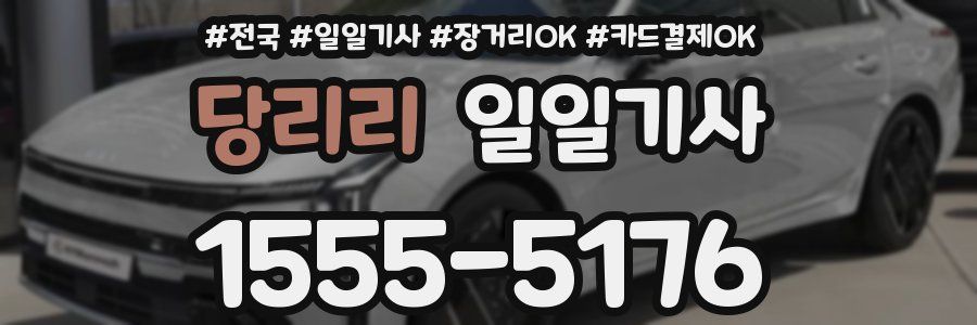 당리리 일일기사