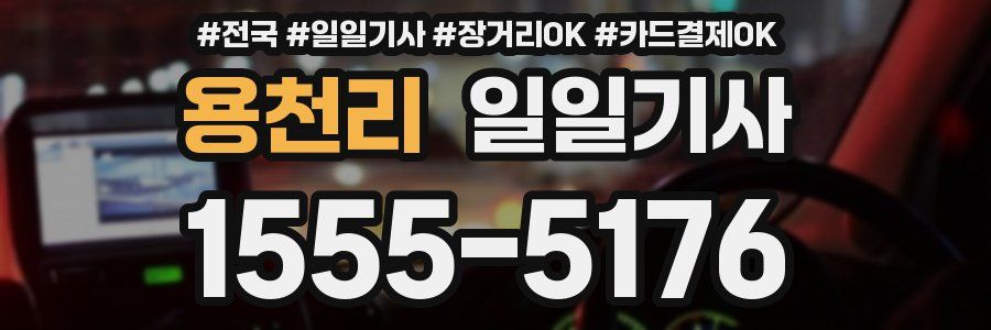 용천리 일일기사