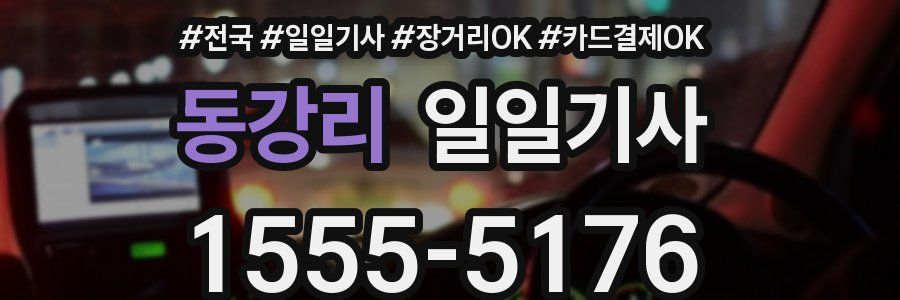 동강리 일일기사