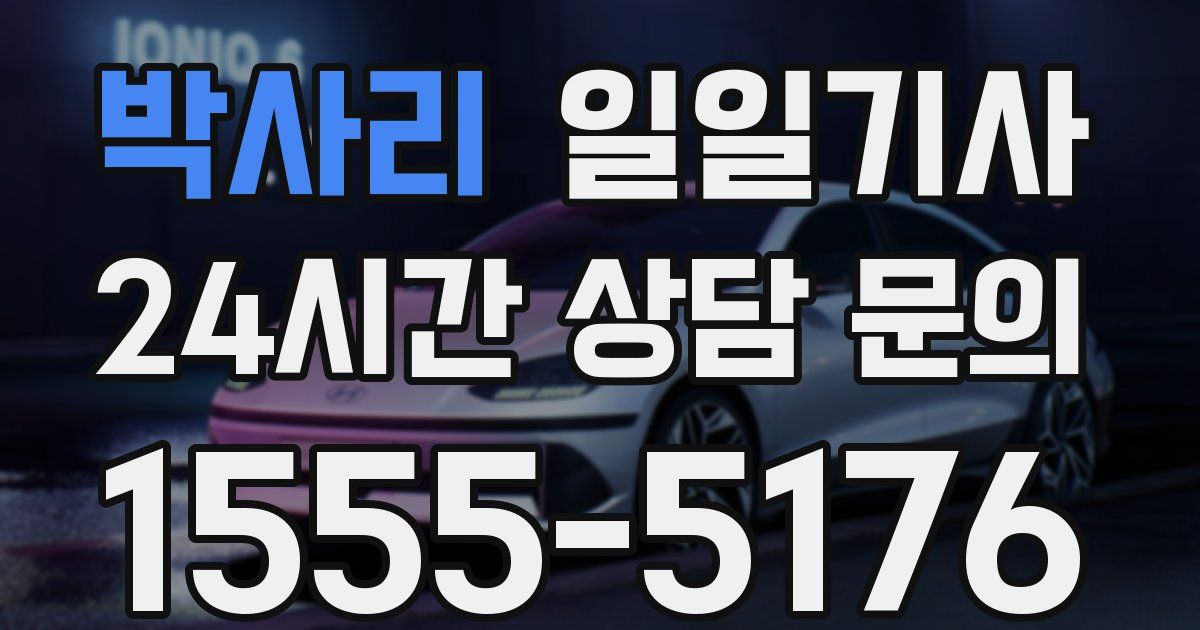 일일대리기사