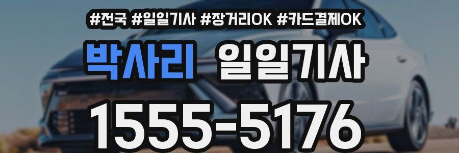 박사리 일일기사