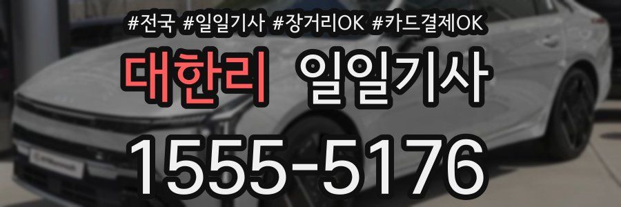 대한리 일일기사