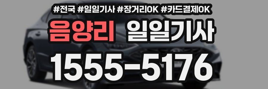 음양리 일일기사