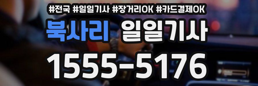 북사리 일일기사