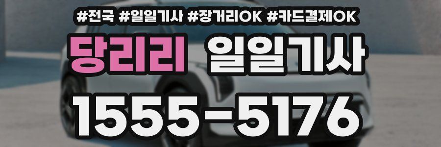 당리리 일일기사