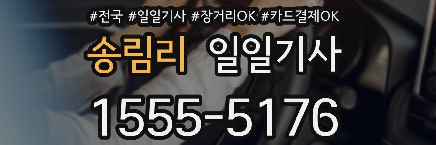 송림리 일일기사