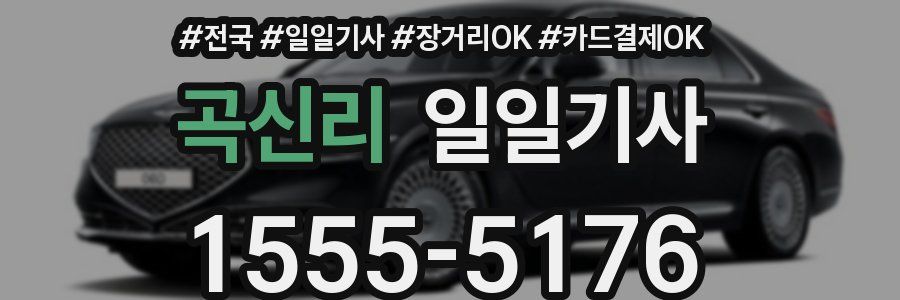 곡신리 일일기사