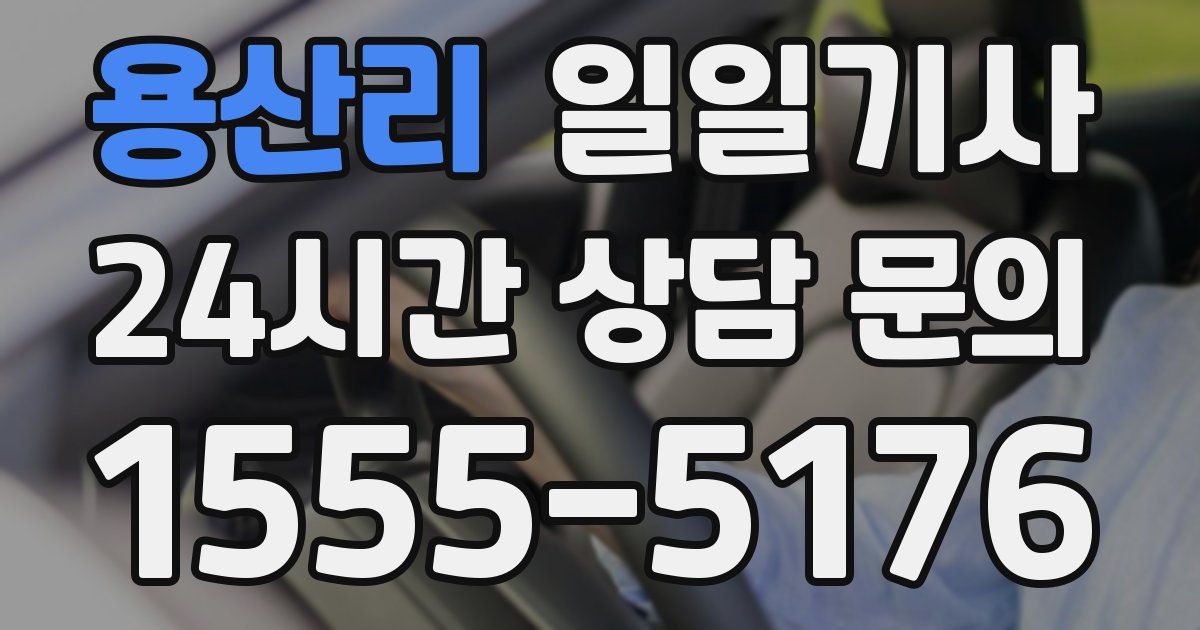 일일대리기사