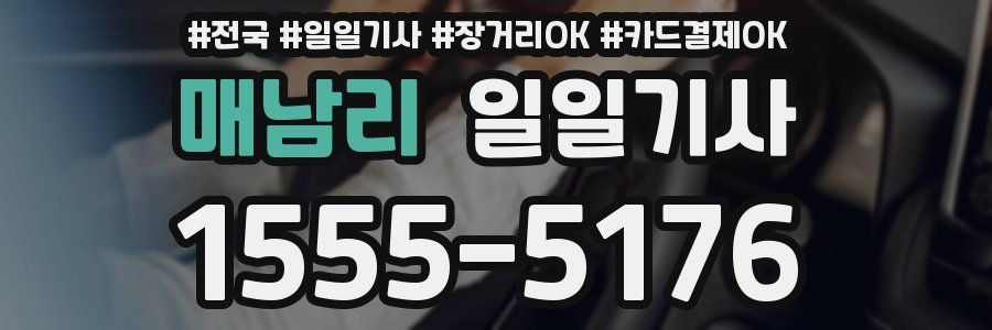 매남리 일일기사