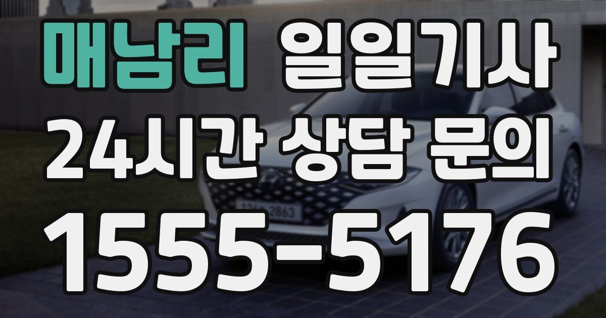 일일대리기사