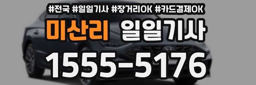 미산리 일일기사