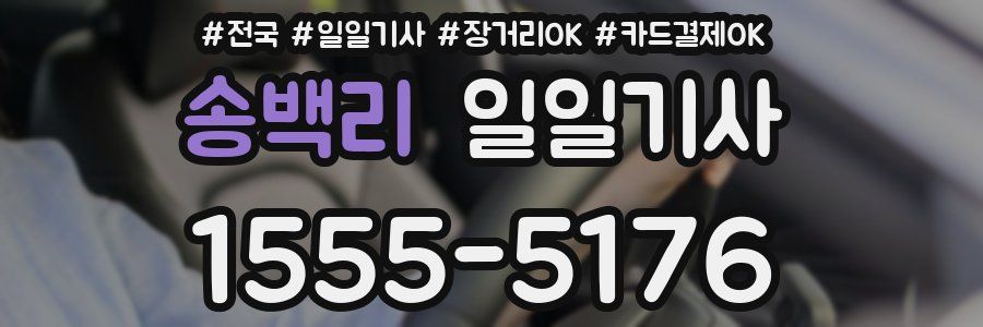 송백리 일일기사