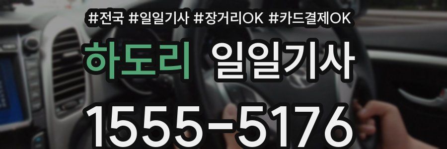 하도리 일일기사