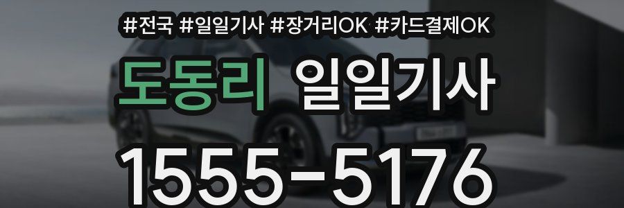 도동리 일일기사