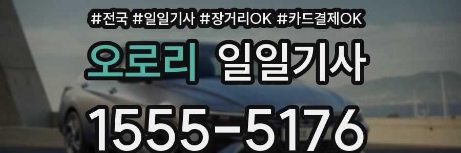 오로리 일일기사