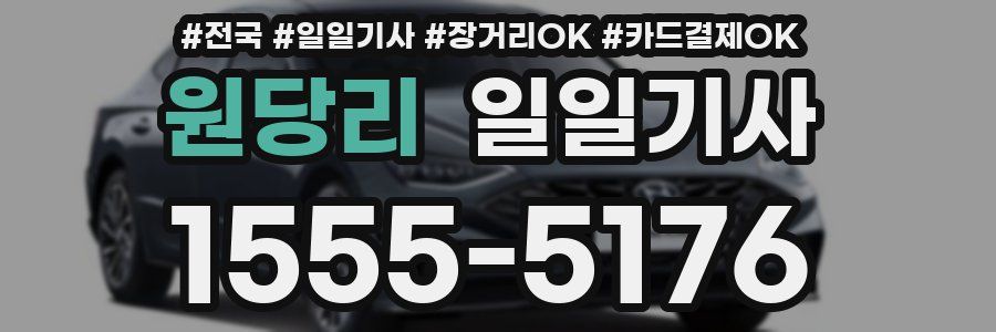 원당리 일일기사