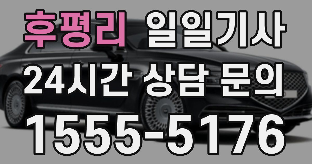 일일대리기사