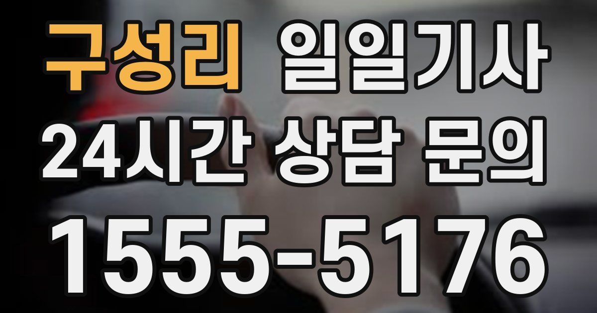 일일대리기사