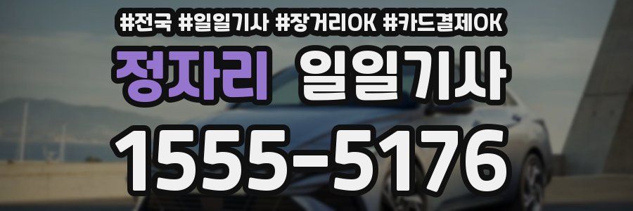 정자리 일일기사