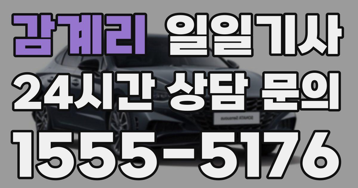 일일대리기사