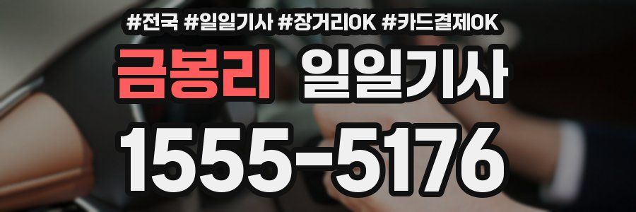 금봉리 일일기사