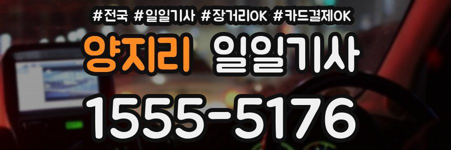 양지리 일일기사