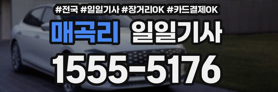 매곡리 일일기사