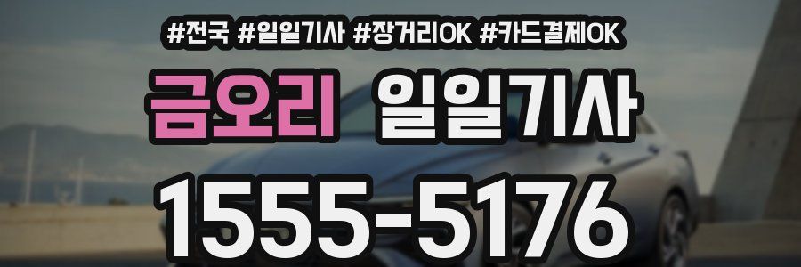 금오리 일일기사