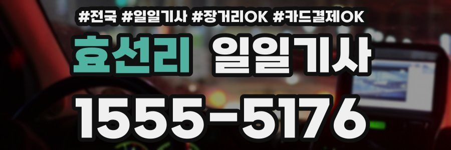 효선리 일일기사