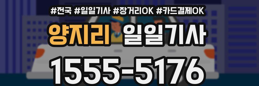 양지리 일일기사