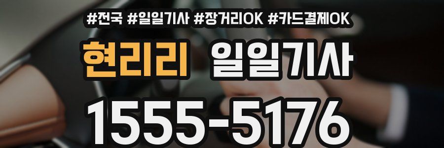 현리리 일일기사