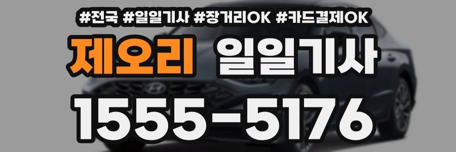제오리 일일기사