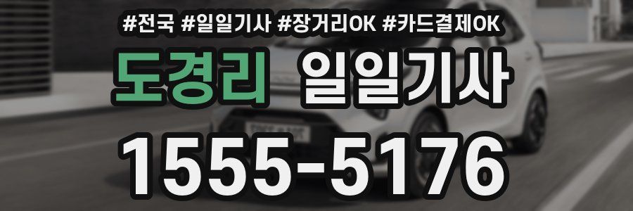 도경리 일일기사