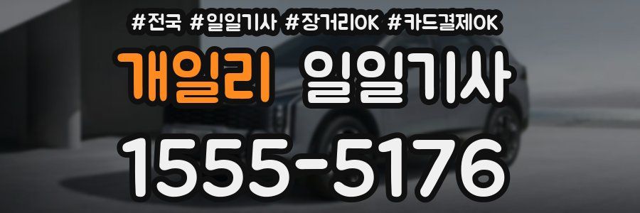 개일리 일일기사