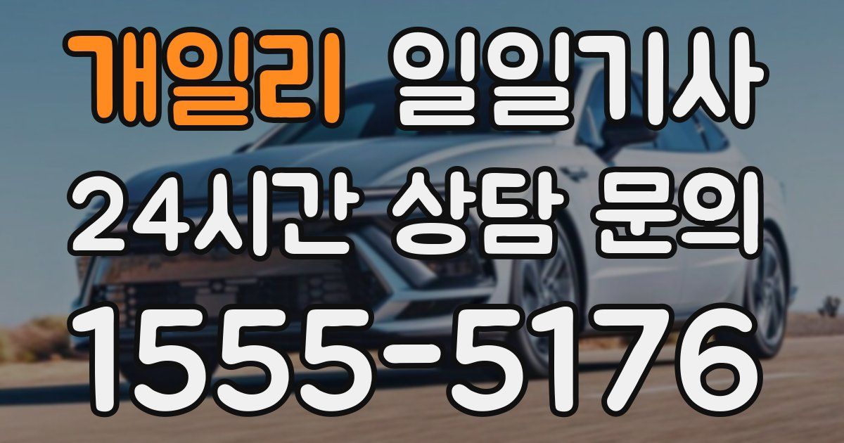 일일대리기사