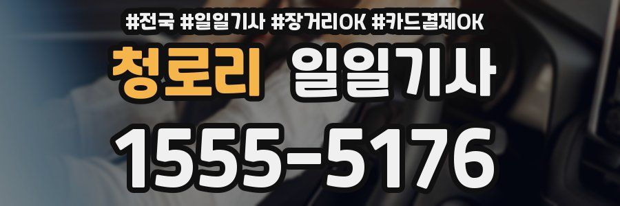 청로리 일일기사