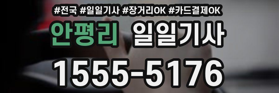 안평리 일일기사